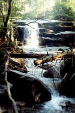 Waterfall in Karkonosze National Park