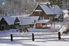 Bata in the snow