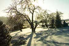 Gize in winter