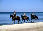 Horseriding in Poland