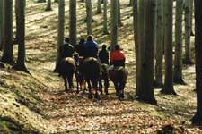 Riding in the woods