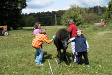 Stajnia Mandra holidays in Poland, farmstay, Poland, farm stay, ecotourism, ecotravel, eco