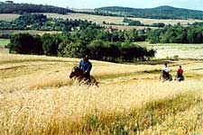 Riding through the hay